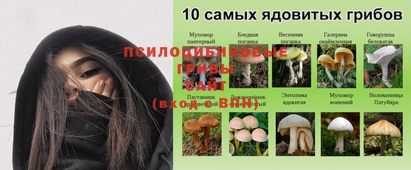 спиды Абинск