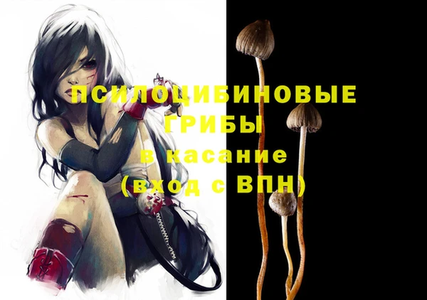 дурь Алексин